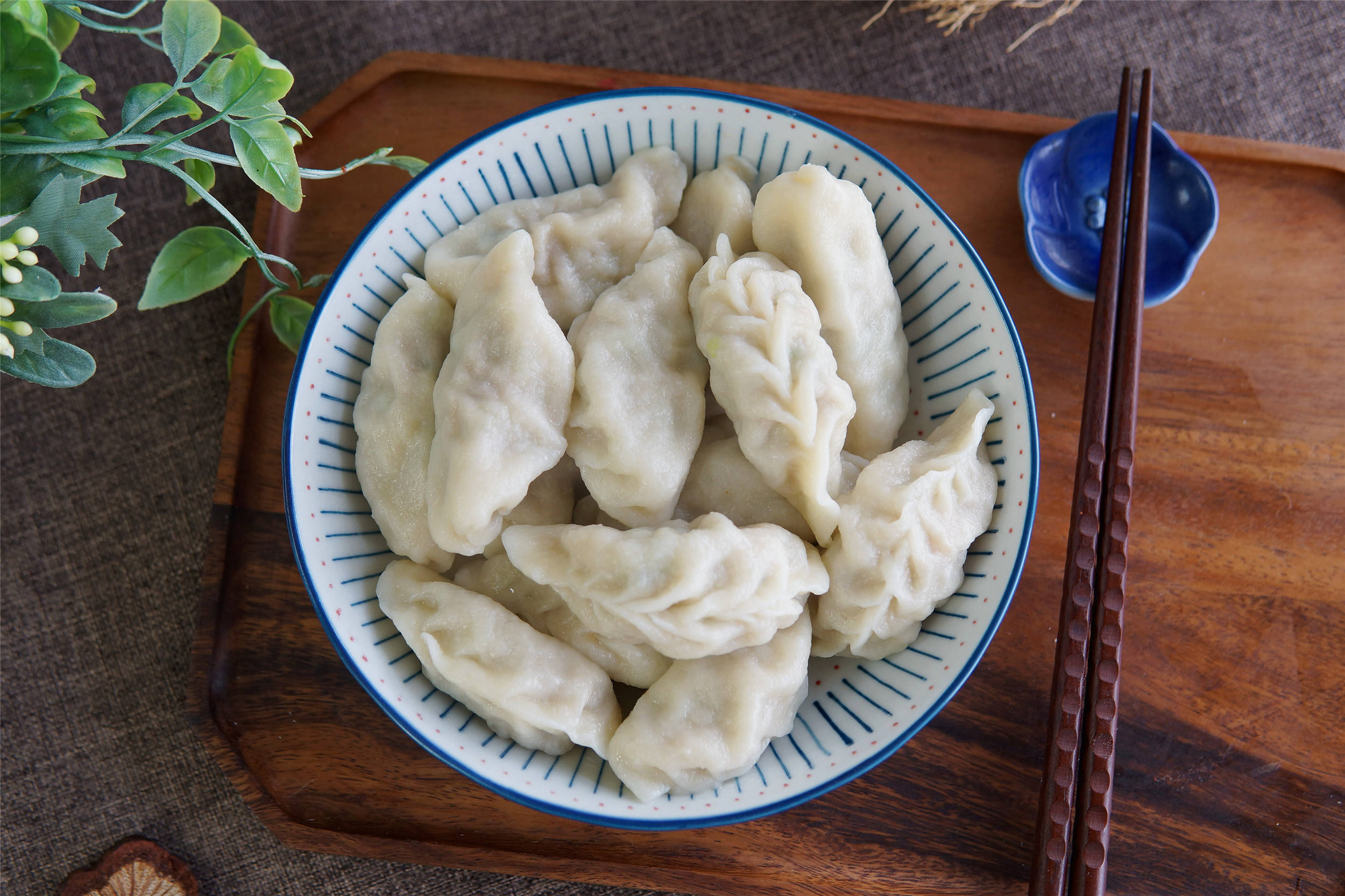 家常美食：孜然羊肉饺子-美味的中国